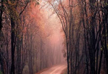 TK体育官网：[网球]郑钦文积极备战 商竣程因伤退赛.