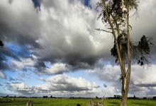 德甲彩经:圣保利力擒霍芬海姆.