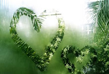 本届亚冬会短道速滑的比赛全部结束，林孝埈集齐金银铜央视体育.