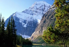 TK体育官网：斯卡洛尼：我们作为一个团队在进行比赛，成功压制了巴西.