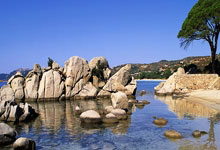 TK体育官网:2:1!不惧劳塔罗缺席,迪马双响+索默神扑,国米5连胜,6分领跑.